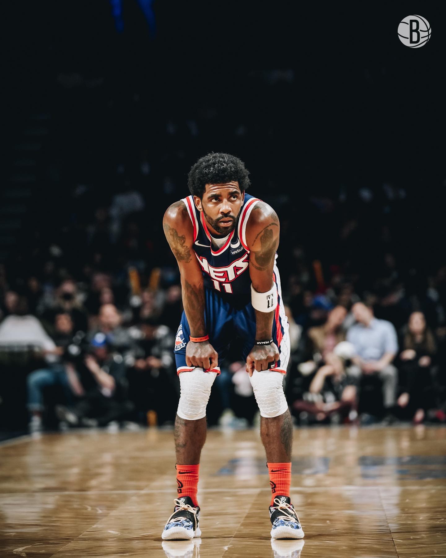 广州朗肽海 广州朗肽海