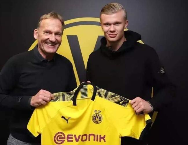 转向证据 转向证据